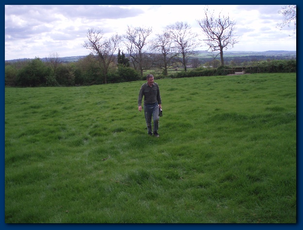 600x449 pixels (123K)